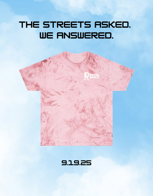 OG COLOR BLAST TEE (CLAY)